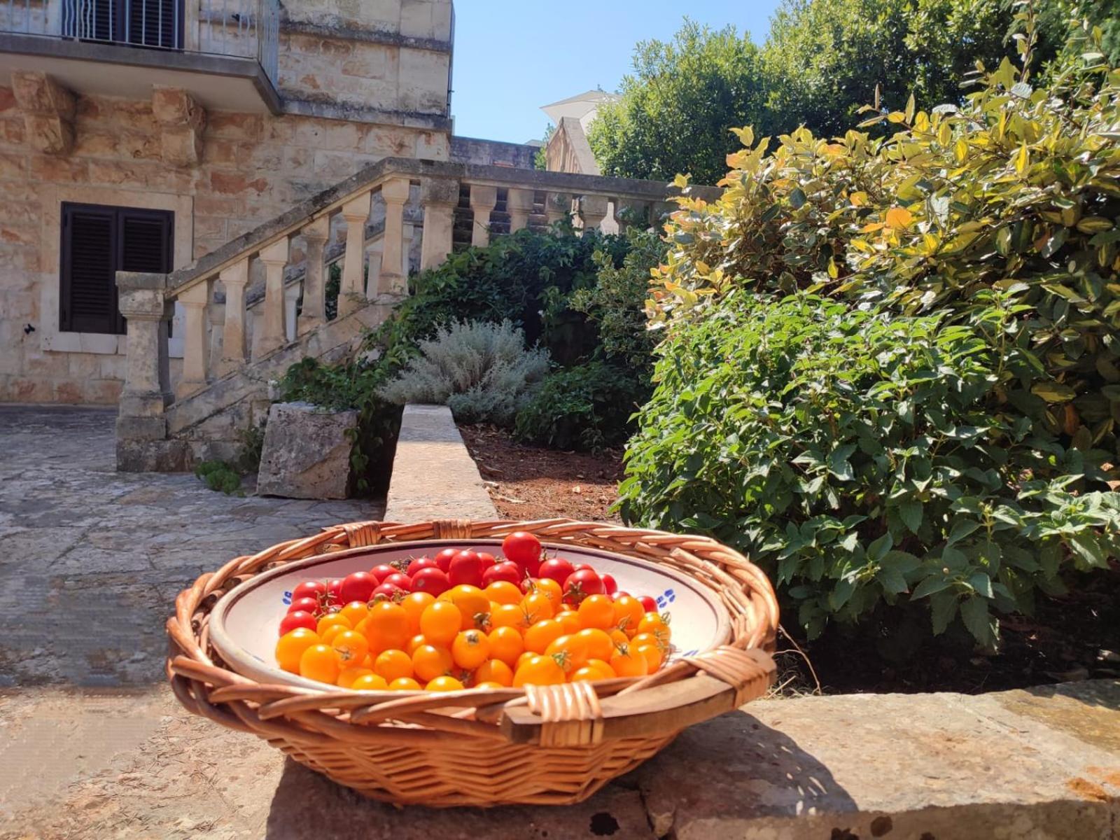 Villa Ostuni Monopoli Exterior foto