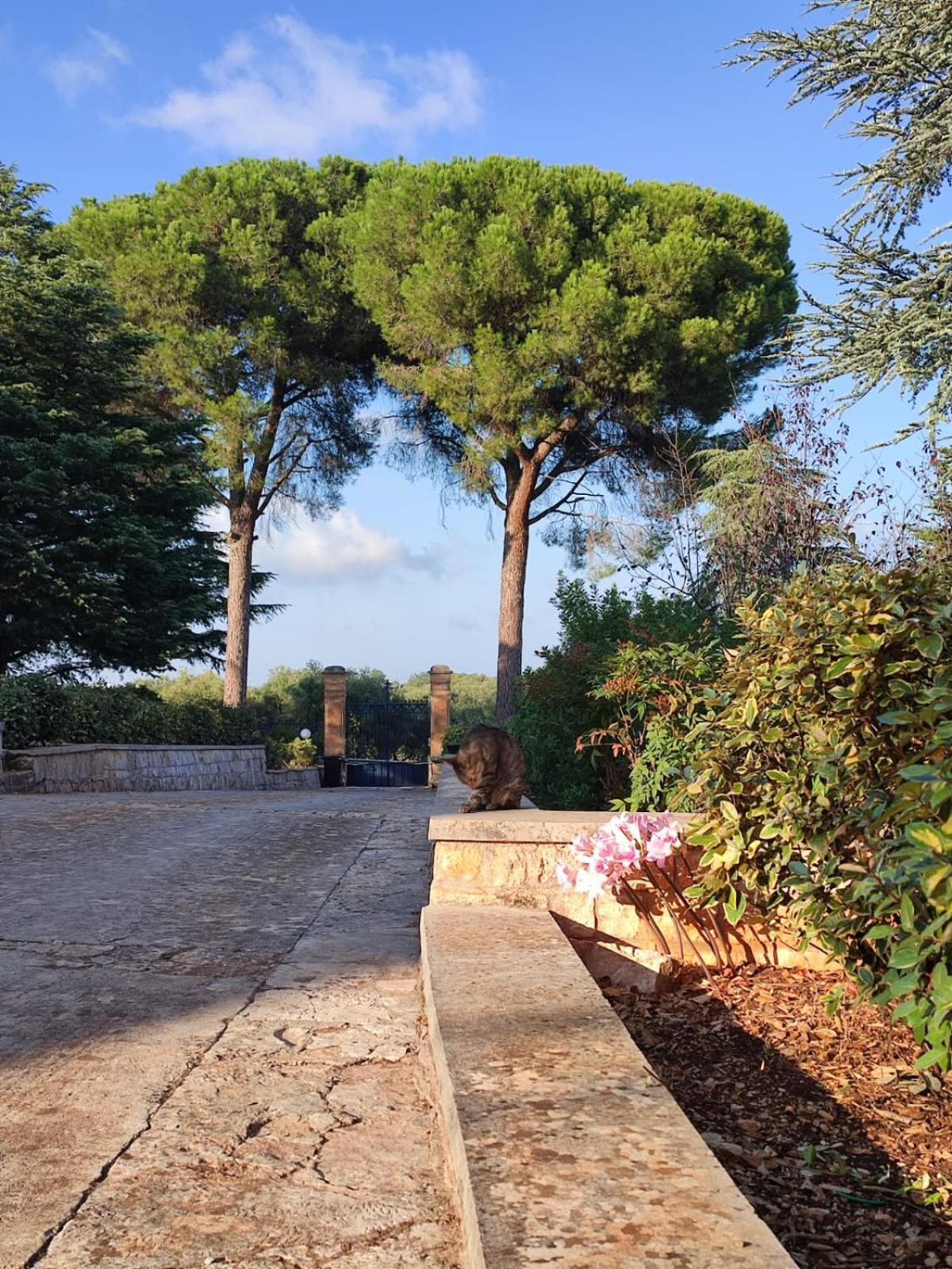 Villa Ostuni Monopoli Exterior foto